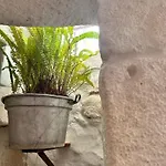 Latorreangioina *