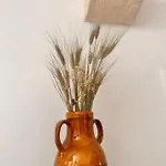 Latorreangioina *