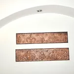 Latorreangioina أوستوني