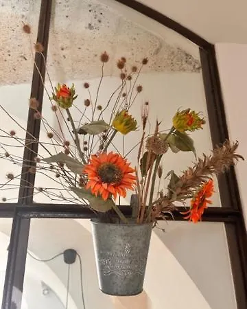 Latorreangioina Apartament