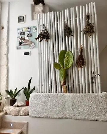 Latorreangioina Apartament Ostuni