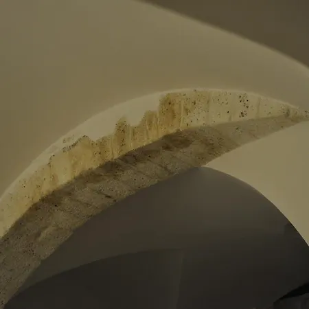 Latorreangioina * Ostuni