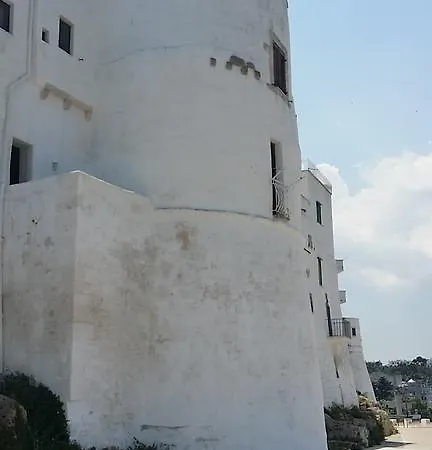 Latorreangioina