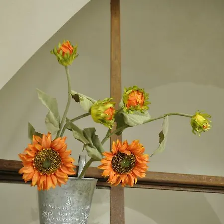 アパート Latorreangioina オストゥーニ